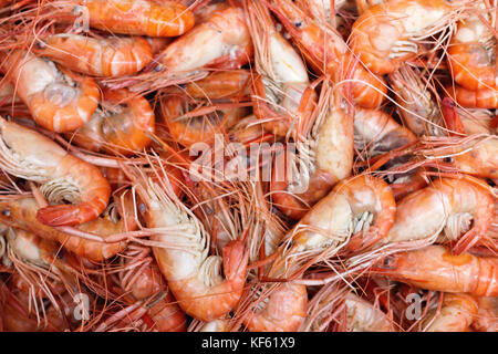 Groupe de crevette d'géant bouillie prête à manger au marché aux poissons. focus sélectif. Banque D'Images