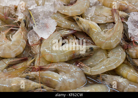 La crevette banane fraîche, les crevettes sont dans le panier à l'aide de glace prêt à vendre sur le marché aux poissons. food concept et focus sélectif. Banque D'Images