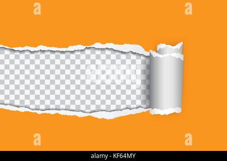 Vector illustration réaliste d'orange papier déchiré avec bord roulé sur fond transparent avec cadre pour le texte Illustration de Vecteur