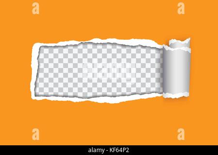 Vector illustration réaliste d'orange papier déchiré avec bord roulé sur fond transparent avec cadre pour le texte Illustration de Vecteur