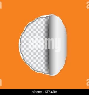 Vector illustration réaliste d'orange papier déchiré avec bord roulé sur fond transparent avec cadre pour le texte Illustration de Vecteur