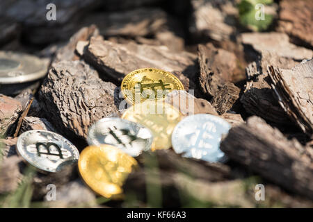L'or et l'argent pièces de monnaie bitcoin se trouvent sur les maisons en bois et des chaînes. online devises finance. Banque D'Images