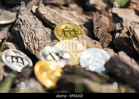 L'or et l'argent pièces de monnaie bitcoin se trouvent sur les maisons en bois et des chaînes. online devises finance. Banque D'Images