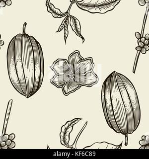 Hand drawn seamless pattern sur fond blanc. le cacao et le café botanique vector illustration. doodle de nutriments sains, des aliments l'etch sketch gravure Illustration de Vecteur