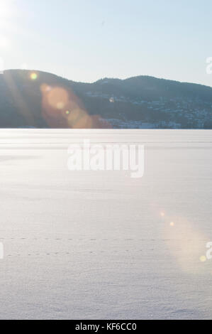 Paysage de neige pendant la journée Oslo Norvège Banque D'Images