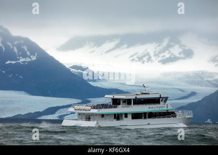 Usa, Alaska, Seward, explorant la résurrection Bay sur la façon d'holgate glacier Banque D'Images