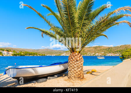 Bateau de pêche en vertu de palmier sur Sea coast in Rogoznica, Croatie, Dalmatie ville Banque D'Images