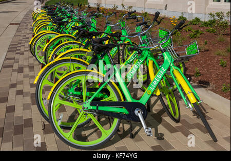 NOTRE DAME, IN/USA - 19 octobre 2017 : stand de Limebike des vélos sur le campus de l'Université Notre Dame. Banque D'Images