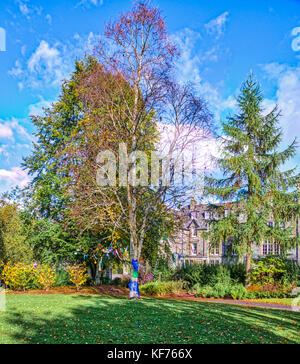 Les arbres d'automne dans un parc public dans près de Dunkeld birnam en Ecosse en automne. Les arbres sont en pleine couleur d'automne et de celui le plus proche de l'image est de Banque D'Images