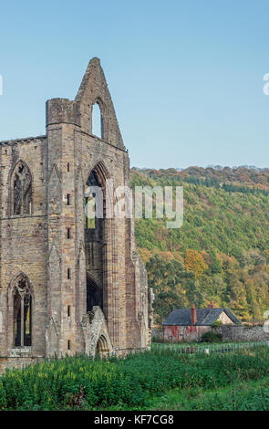 Abbaye de Tintern Côté Sud Banque D'Images