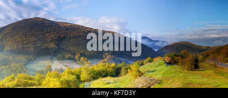 Matin persistante brume sur woodland forest dans le mountain mist matin Banque D'Images