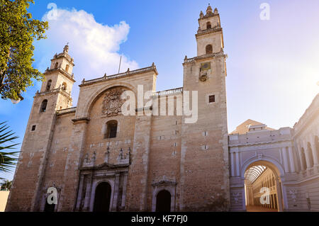 Cathédrale de San idefonso Merida Yucatan au Mexique Banque D'Images