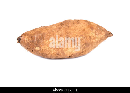 American sweet potato sur fond blanc Banque D'Images