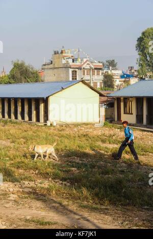 Repetto Noémie / Le pictorium - festival tihar au Népal, Katmandou. culte des chiens à l'école de formation de chiens policiers. - 19/10/2017 - Népal - KATMANDOU / festival tihar au Népal, Katmandou. culte des chiens à l'entraînement de chiens policiers à l'école. Meilleur chien de police de la cérémonie de la police népalaise, ainsi que la cérémonie de la retraite. depuis la fête des lumières ont également eu lieu, la police et les citoyens ont participé à l'adoration de chien comme le veut la tradition. Banque D'Images