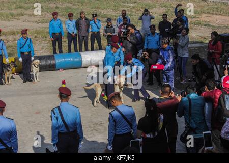 Repetto Noémie / Le pictorium - festival tihar au Népal, Katmandou. culte des chiens à l'école de formation de chiens policiers. - 19/10/2017 - Népal - KATMANDOU / festival tihar au Népal, Katmandou. culte des chiens à l'entraînement de chiens policiers à l'école. Meilleur chien de police de la cérémonie de la police népalaise, ainsi que la cérémonie de la retraite. depuis la fête des lumières ont également eu lieu, la police et les citoyens ont participé à l'adoration de chien comme le veut la tradition. Banque D'Images