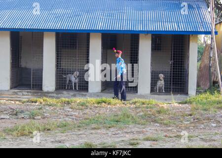 Repetto Noémie / Le pictorium - festival tihar au Népal, Katmandou. culte des chiens à l'école de formation de chiens policiers. - 19/10/2017 - Népal - KATMANDOU / festival tihar au Népal, Katmandou. culte des chiens à l'entraînement de chiens policiers à l'école. Meilleur chien de police de la cérémonie de la police népalaise, ainsi que la cérémonie de la retraite. depuis la fête des lumières ont également eu lieu, la police et les citoyens ont participé à l'adoration de chien comme le veut la tradition. Banque D'Images