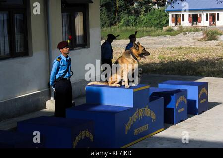 Repetto Noémie / Le pictorium - festival tihar au Népal, Katmandou. culte des chiens à l'école de formation de chiens policiers. - 19/10/2017 - Népal - KATMANDOU / festival tihar au Népal, Katmandou. culte des chiens à l'entraînement de chiens policiers à l'école. Meilleur chien de police de la cérémonie de la police népalaise, ainsi que la cérémonie de la retraite. depuis la fête des lumières ont également eu lieu, la police et les citoyens ont participé à l'adoration de chien comme le veut la tradition. Banque D'Images