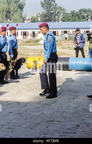 Repetto Noémie / Le pictorium - festival tihar au Népal, Katmandou. culte des chiens à l'école de formation de chiens policiers. - 19/10/2017 - Népal - KATMANDOU / festival tihar au Népal, Katmandou. culte des chiens à l'entraînement de chiens policiers à l'école. Meilleur chien de police de la cérémonie de la police népalaise, ainsi que la cérémonie de la retraite. depuis la fête des lumières ont également eu lieu, la police et les citoyens ont participé à l'adoration de chien comme le veut la tradition. Banque D'Images