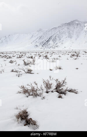 États-unis, Californie, Mammoth, une vue sur les montagnes couvertes de neige fraîchement le long de i395 entre l'évêque et mammoth Banque D'Images