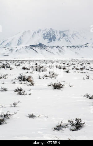 États-unis, Californie, Mammoth, une vue sur les montagnes couvertes de neige fraîchement le long de i395 entre l'évêque et mammoth Banque D'Images