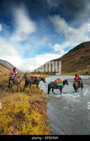 Usa, Alaska, Cantwell, cheval pack voyage dans la vallée de la rivière jack à la base de la chaîne de l'alaska avec gunter wamser et Sonja endlweber Banque D'Images