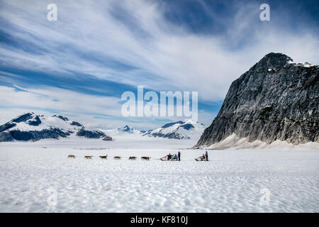 Usa, Alaska, Juneau, les chiens courir sur la montagne gardien ci-dessous juneau icefield helicopter tour en traîneau à chiens, vous vole sur le glacier à l'helimush taku Banque D'Images