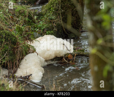 La pollution sur river Banque D'Images