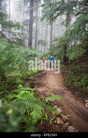 Canada, Vancouver, Colombie-Britannique, Andrew Baker et jordi morros vtt dans la forêt tropicale dans le brouillard à north vancouver Banque D'Images