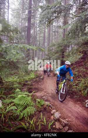 Canada, Vancouver, Colombie-Britannique, Andrew Baker et jordi morros vtt dans la forêt tropicale dans le brouillard à north vancouver Banque D'Images