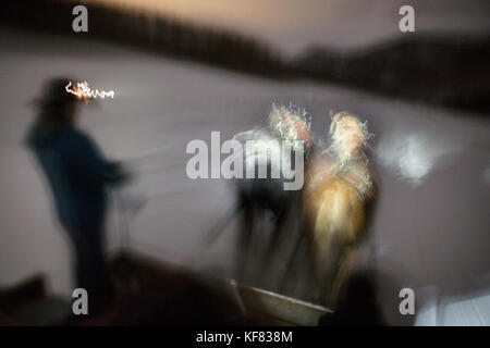 Usa, Colorado, le tremble, le Wrangler ali wade durs réduite dans un traîneau tiré par des chevaux à la Pine Creek Lodge Banque D'Images