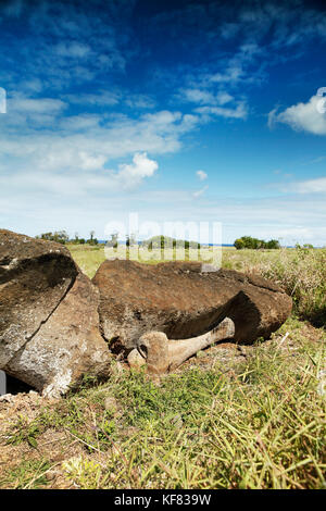 L'île de Pâques, chili, Isla de Pascua, rapa nui, un moai de pierre jette face vers le bas dans un paysage Banque D'Images