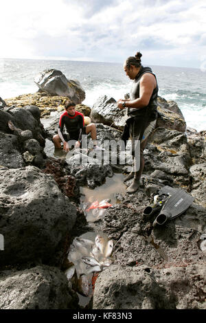 L'île de Pâques, chili, Isla de Pascua, rapa nui, la plongée avec tuba et de plongée libre à la base de poike, le plus ancien volcan de l'île Banque D'Images