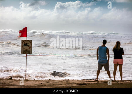 Hawaii, Oahu, côte-nord, les spectateurs regardant le gros swell sur la Côte-Nord Banque D'Images