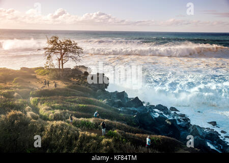 Hawaii, Oahu, côte-nord, les grandes vagues de la houle en roulant sur la Côte-Nord Banque D'Images