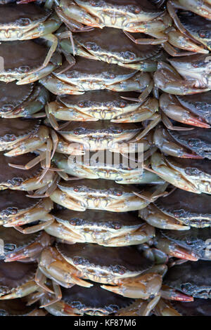 Vietnam, Saigon, marché de Ben Thanh, crabe vivant à vendre au marché, Ho Chi minh City Banque D'Images