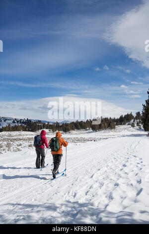 Usa, Wyoming, Yellowstone National Park, les skieurs de tête sur un sentier au carrefour près de la tour de la Roosevelt lodge Banque D'Images