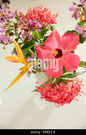 Belize, Punta Gorda, Toledo, un bel arrangement de fleurs situé à l'intérieur de belcampo belize jungle lodge et farm Banque D'Images