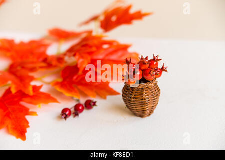 Aubépine en vase et feuilles d'érable rouge concept automne Banque D'Images