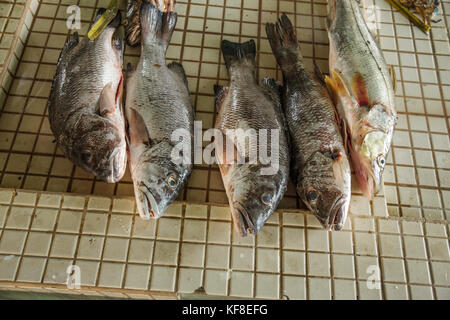 Belize, Punta Gorda, Toledo, un séjour au Lodge et belcampo belize jungle ferme peuvent aller au marché local à Punta Gorda pour obtenir des légumes frais Banque D'Images