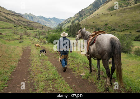 Usa (Oregon), Joseph, cowboy todd Nash se prépare pour un transport de bétail jusqu'big sheep creek Banque D'Images