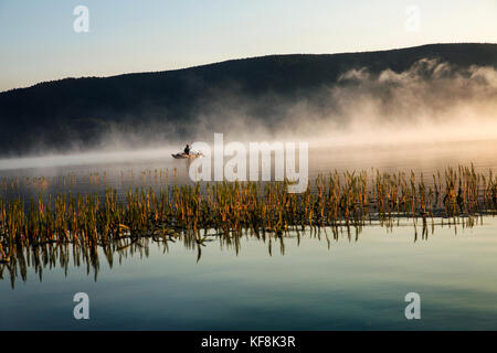 Usa, Ohio, paulina lake, brown cannon, un pêcheur passe par les roseaux et le brouillard dans son bateau Banque D'Images