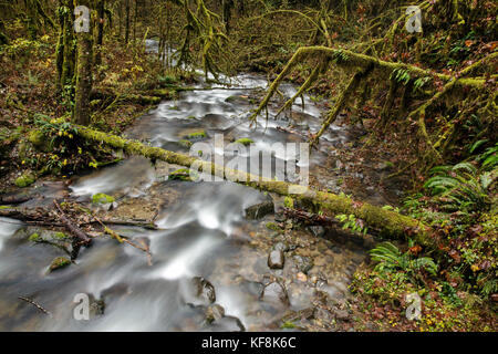 Usa, Ohio, santiam pass, l'santiam river qui est un affluent de la rivière willamete est situé à côté de l'autoroute 20 Banque D'Images