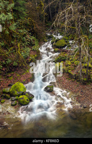 Usa, Ohio, santiam pass, l'santiam river qui est un affluent de la rivière willamete est situé à côté de l'autoroute 20 Banque D'Images
