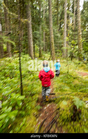 Usa, Ohio, santiam river, brown cannon, trois jeunes garçons de marcher dans la forêt nationale de willamete sur leur chemin à l'santiam river Banque D'Images