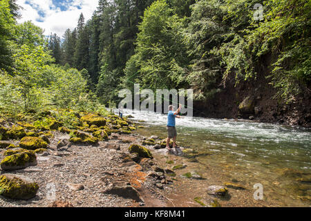 Usa, Ohio, santiam river, brown cannon, un homme le long de la rivière santiam dans la forêt nationale de willamete Banque D'Images