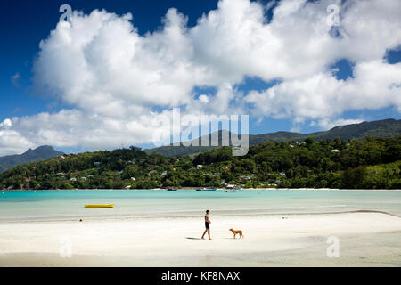 Les Seychelles, Mahe, Anse à la mouche, l'homme chien marche sur plage à marée basse Banque D'Images