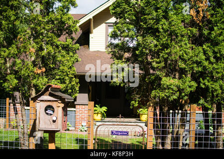 Soleil sur le jardin du toit dans la cour - une maison à Fairhaven, sur le côté sud de Bellingham, fait une utilisation efficace de l'espace limité. Banque D'Images