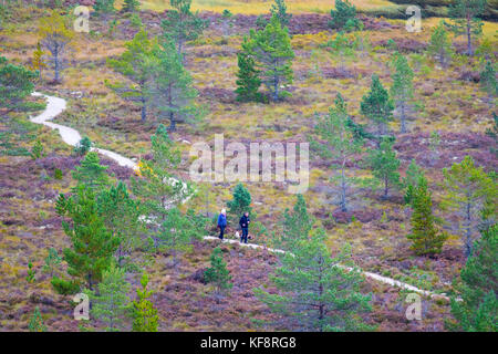 Les promeneurs marchant sur un chemin de gravier entre les wildernes et couleurs d'automne à uath lochan situé dans la forêt inshriach, Ecosse, Royaume-Uni Banque D'Images