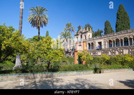 Séville, Espagne - novembre 18,2016 : Alcazar de Séville dans les jardins.l'Alcazar de Séville est un palais royal à Séville, Espagne, initialement développé par Banque D'Images