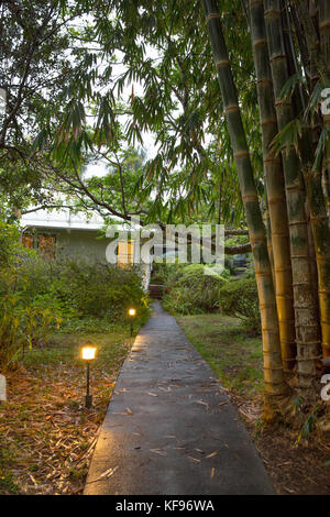 Usa, Hawaii, la grande île, en bordure de waipio bed and breakfast près de honoka'a Banque D'Images